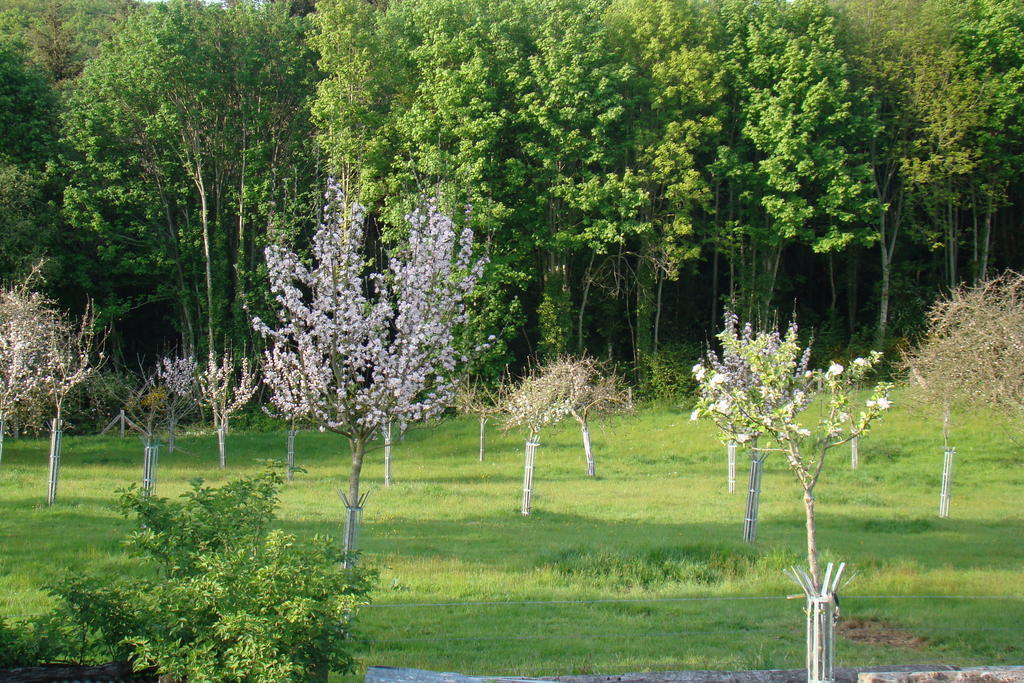 Gite De La Cour Campandré-Valcongrain Værelse billede